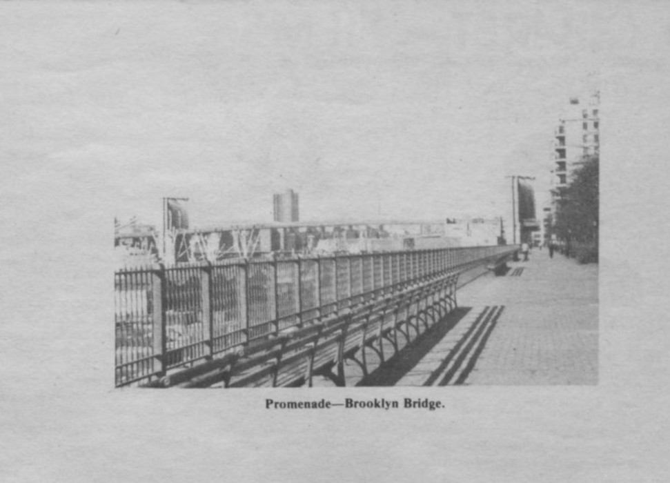 focus brooklyn heights