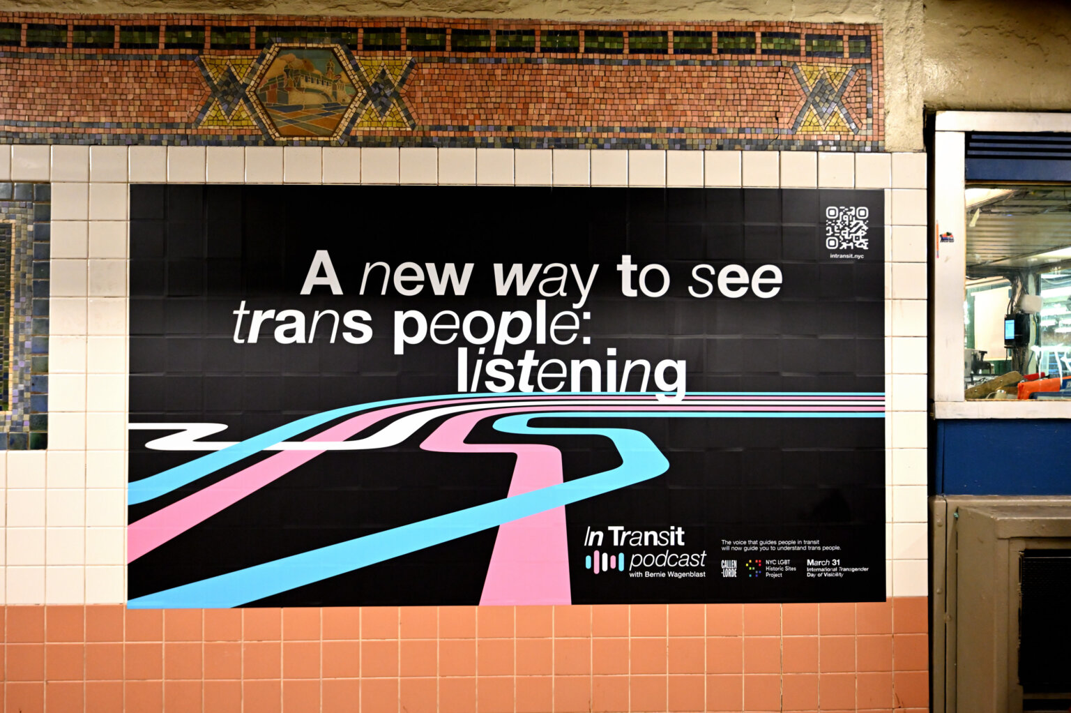 Campaign posters on TDOV
