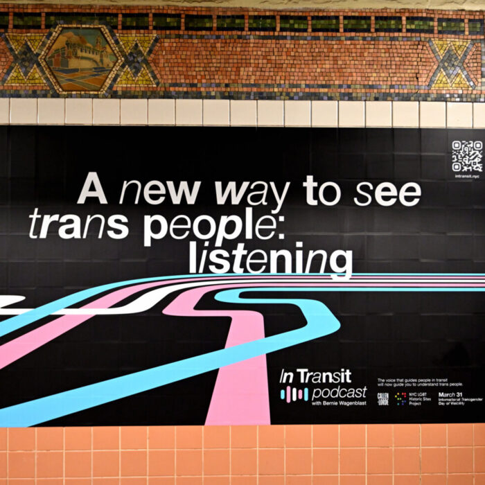 Campaign posters on TDOV